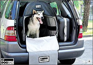 Dog Bag Medium and Large - pet carrier/dog carrier (ERDBM/ERDBL)